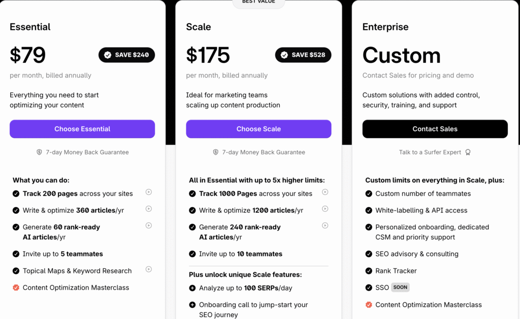 Price plan for the premium version of Surfer AI Humanizer